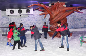 Seasons Mall Snow Park and Ice Skating Ring